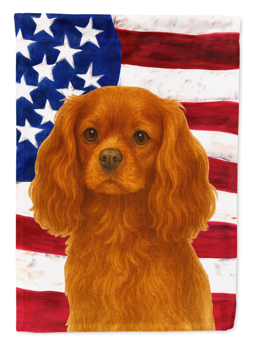 WDK6062CHF 40 x 28 in. Ruby Cavalier Spaniel American Flag House Flag