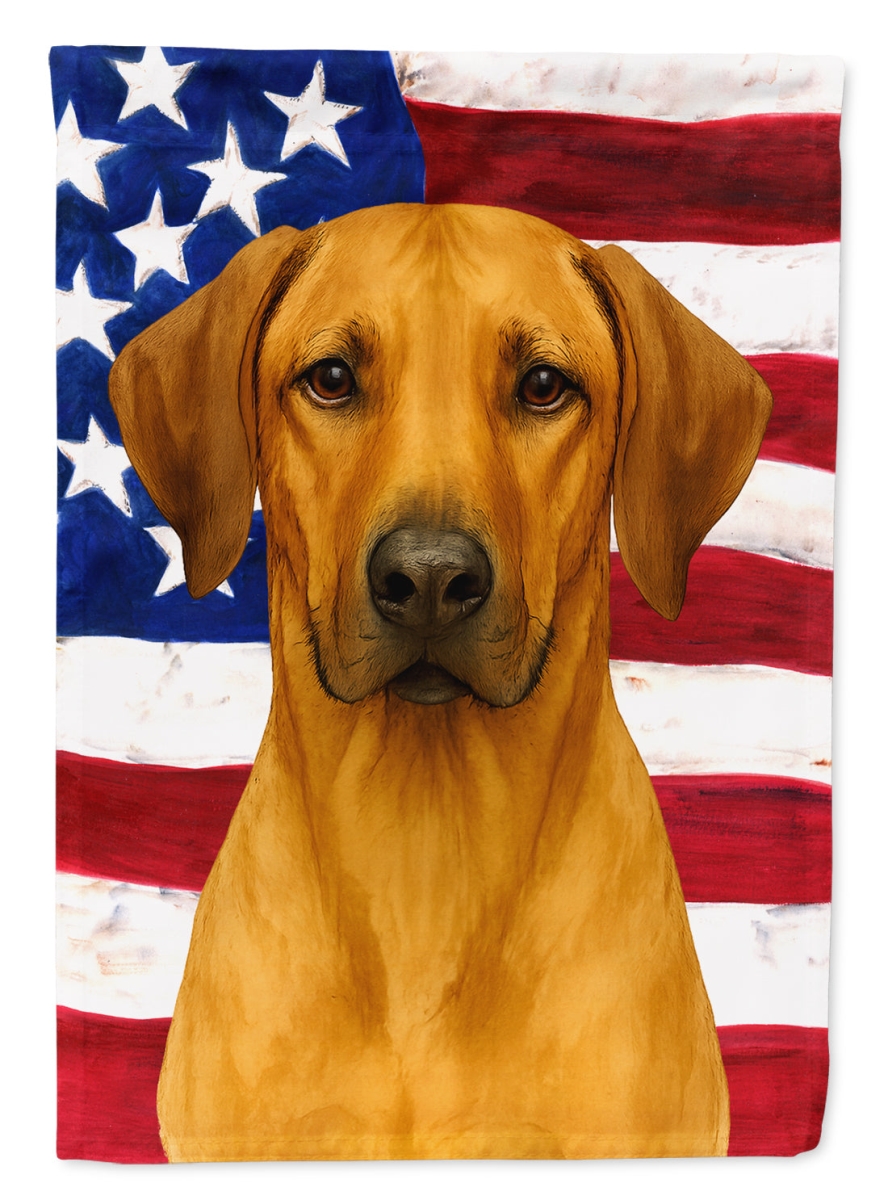 WDK6193CHF 40 x 28 in. Rhodesian Ridgeback American Flag House Flag
