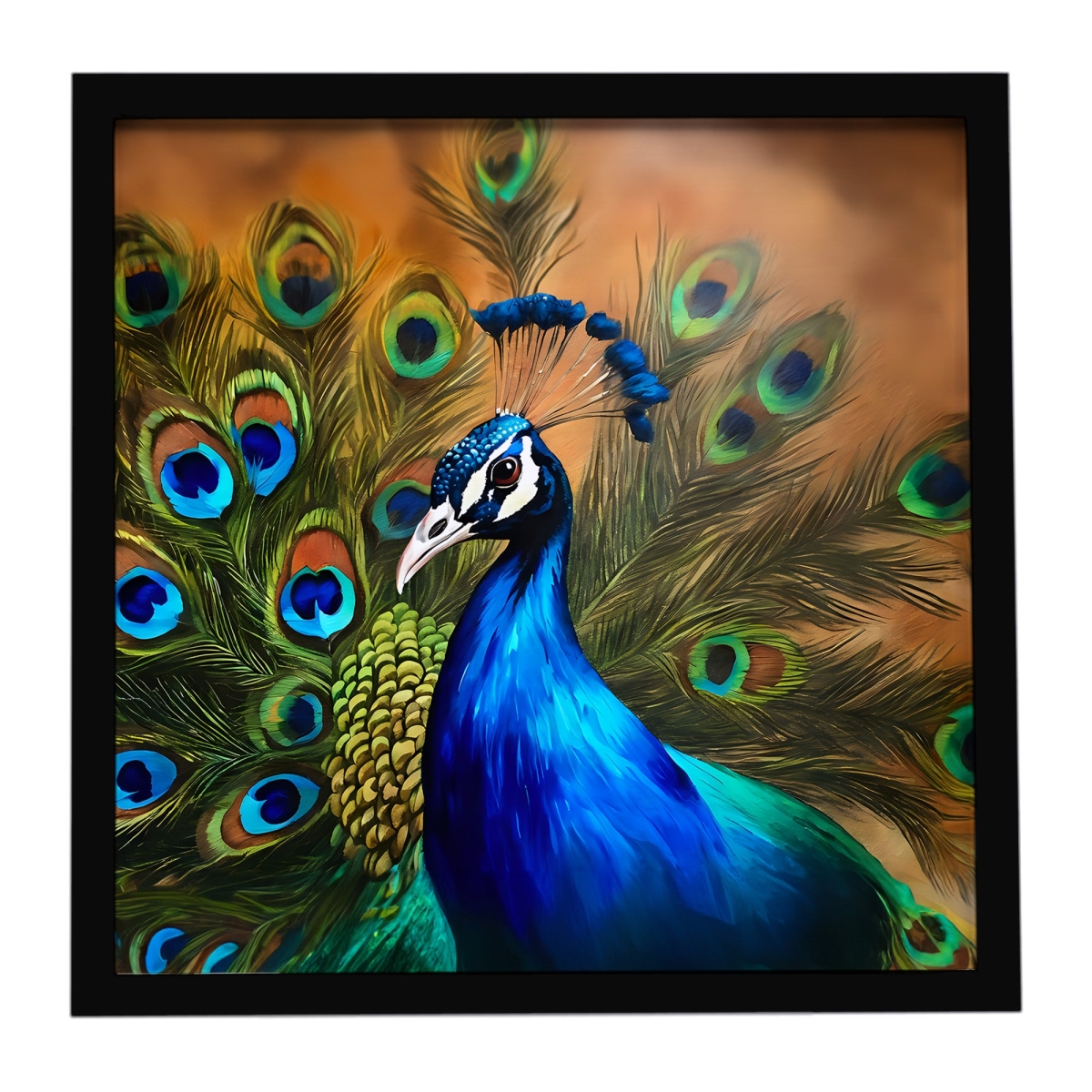 DAC3255MFP88 8 x 8 in. Peacock Framed Metal Print