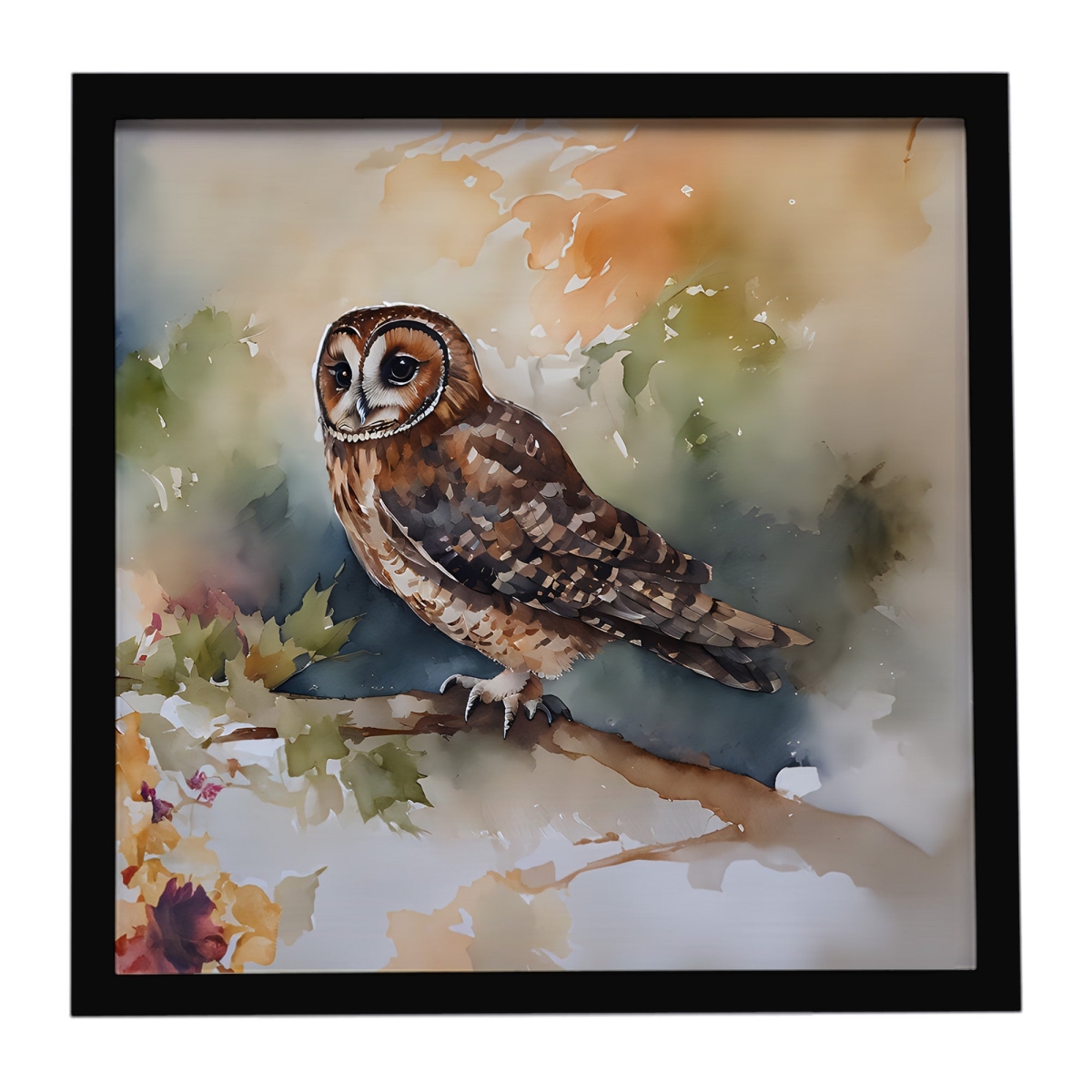 DAC3280MFP88 8 x 8 in. Tawny Owl Framed Metal Print