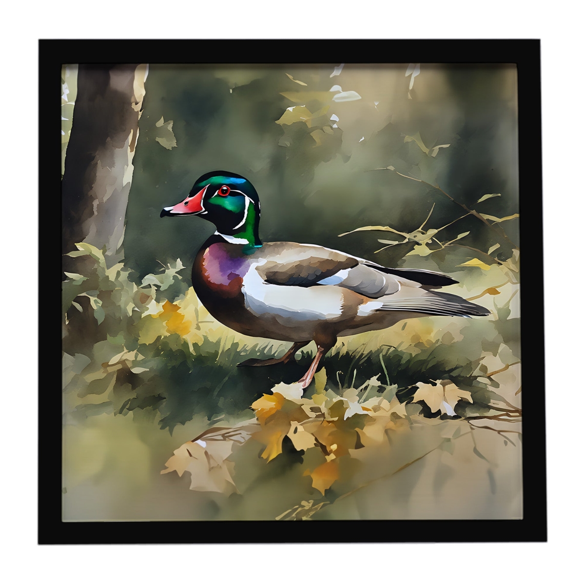 DAC3282MFP88 8 x 8 in. Wood Duck Framed Metal Print