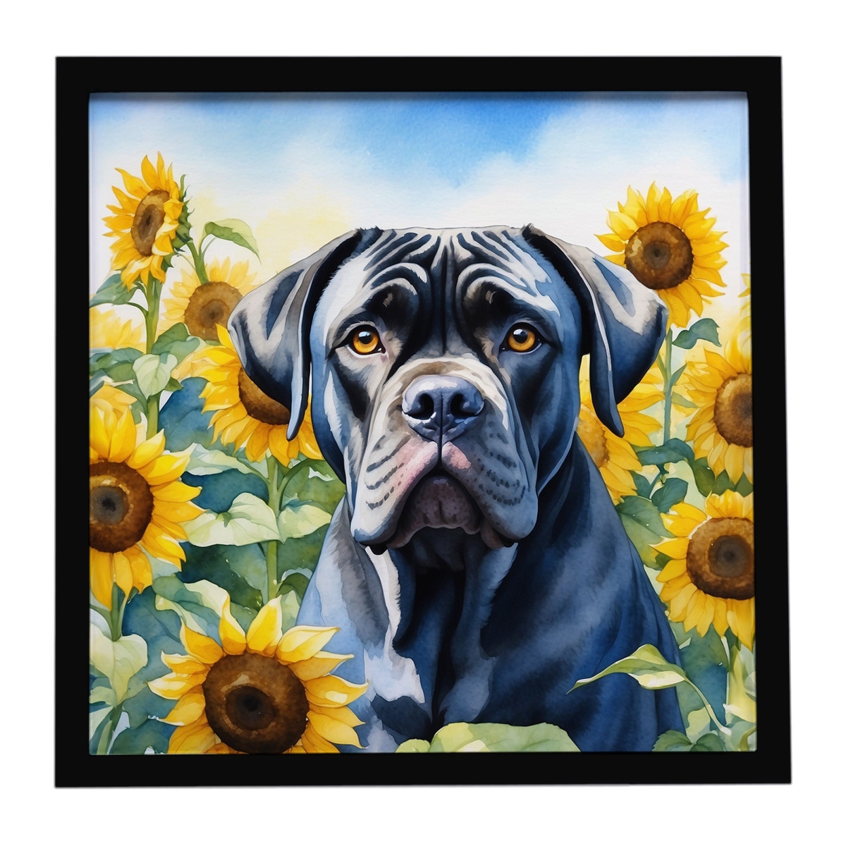 DAC6045MFP88 8 x 8 in. Cane Corso in Sunflowers Framed Metal Print