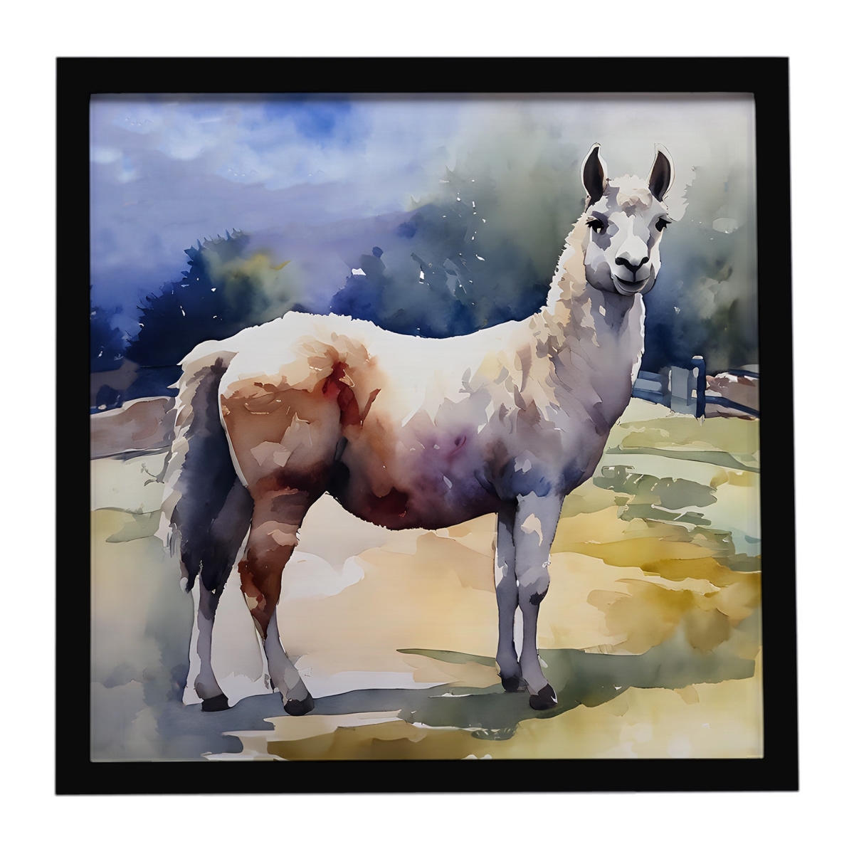 DAC2959MFP88 8 x 8 in. Llama Framed Metal Print