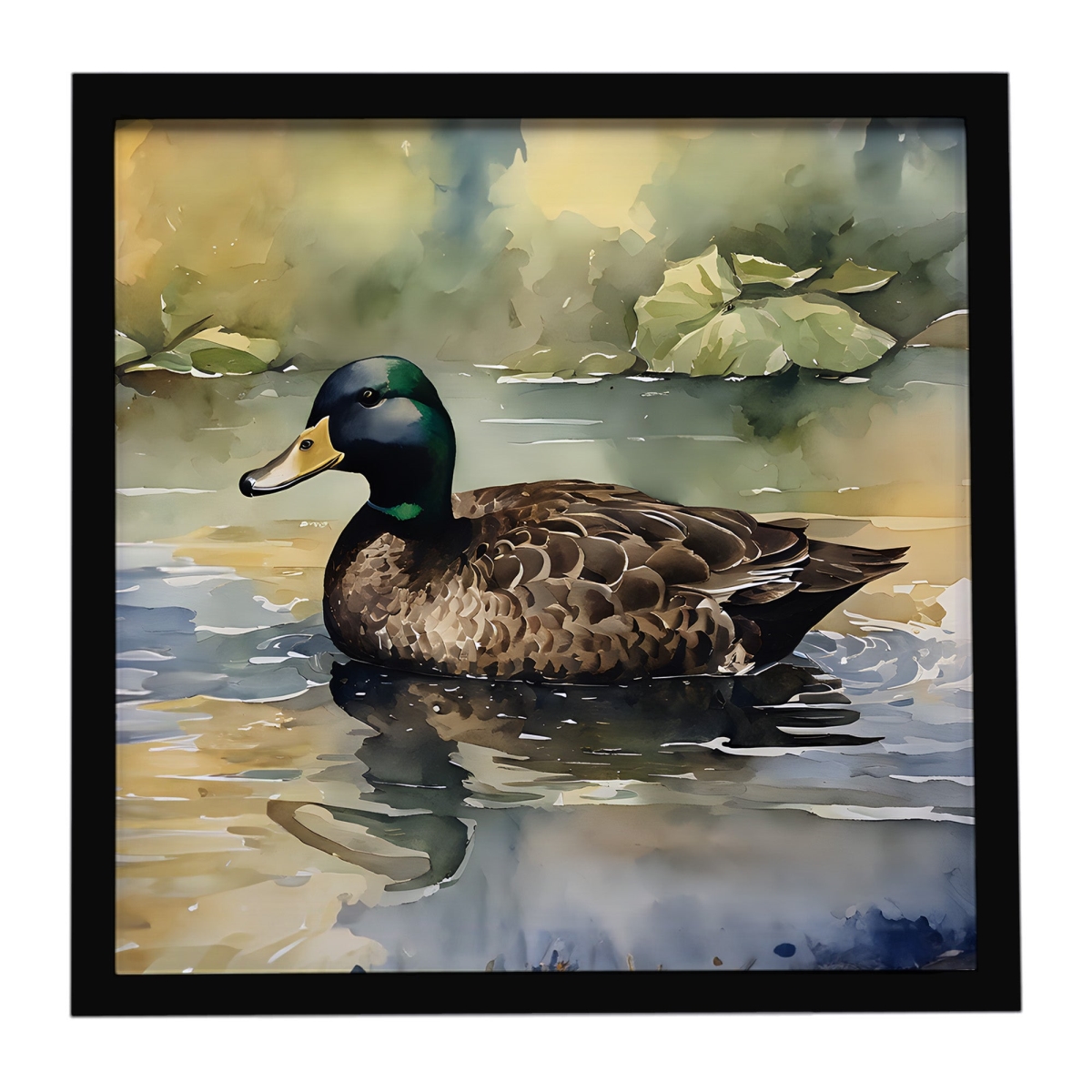 DAC3178MFP88 8 x 8 in. American Black Duck Framed Metal Print