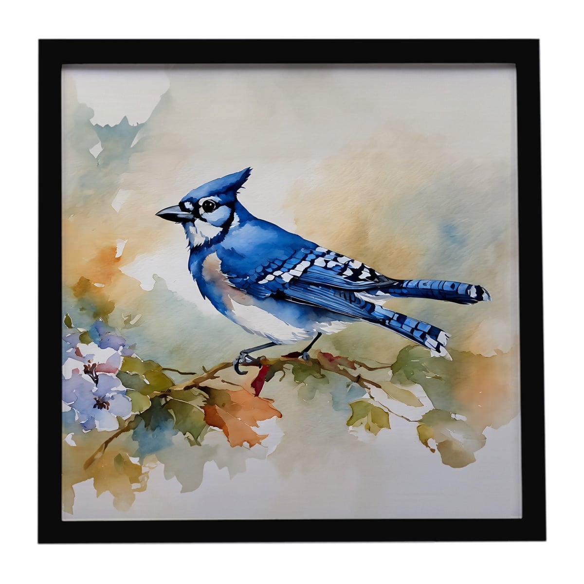 DAC3184MFP88 8 x 8 in. Blue Jay Framed Metal Print