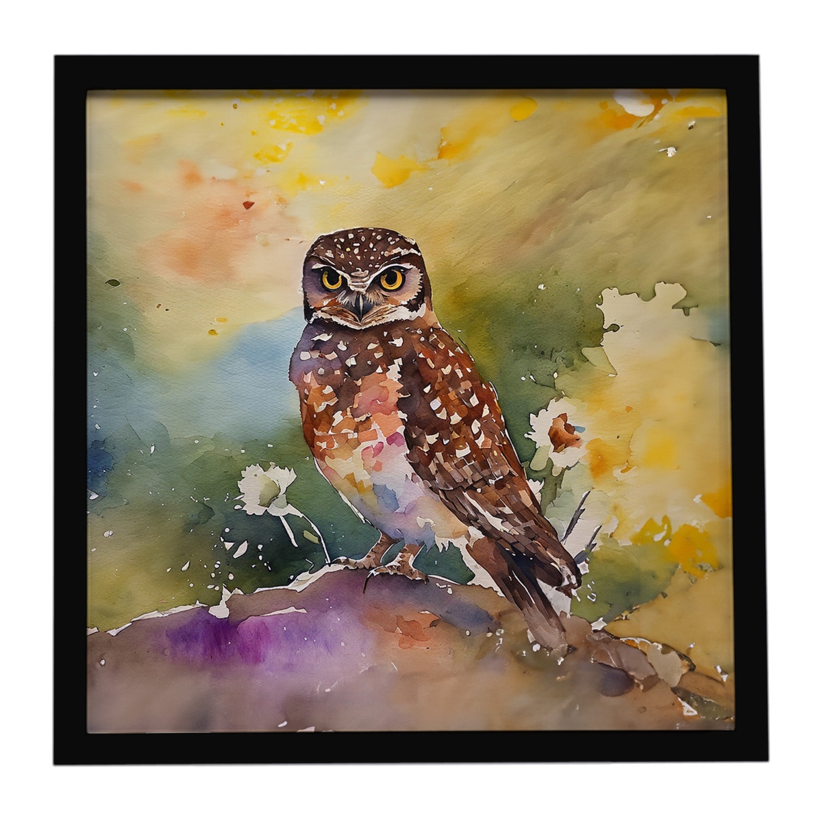 DAC3195MFP88 8 x 8 in. Burrowing Owl Framed Metal Print