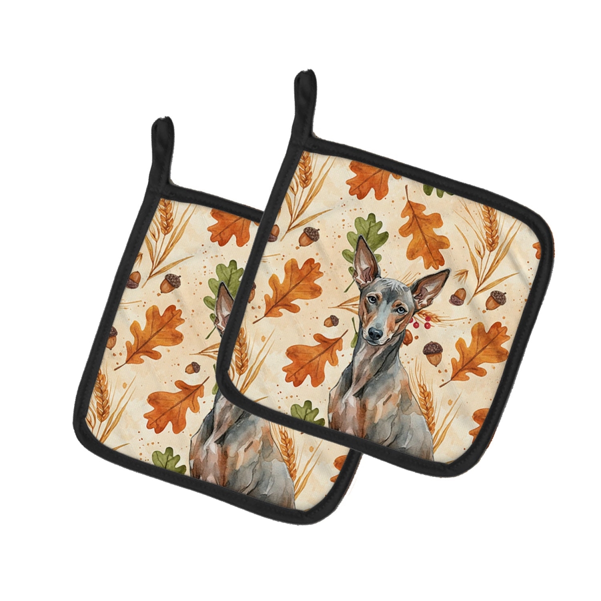 Picture of Carolines Treasures WDK8061PTHD 7.5 x 7.5 in. Xoloitzcuintli Heirloom Fall Pair of Pot Holders