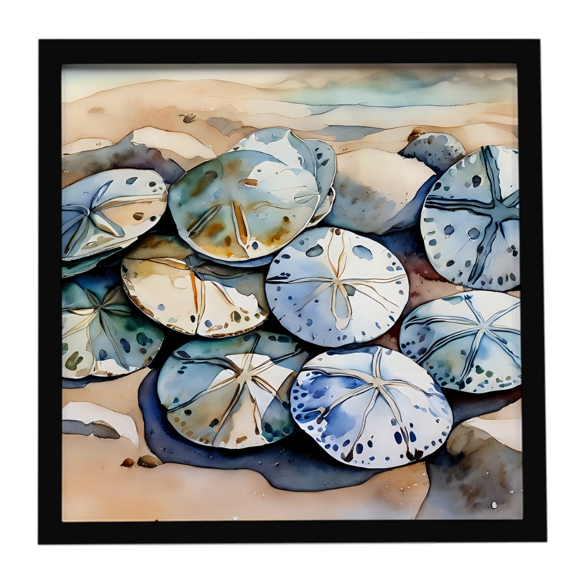 DAC2821MFP88 8 x 8 in. Sand Dollars Framed Metal Print