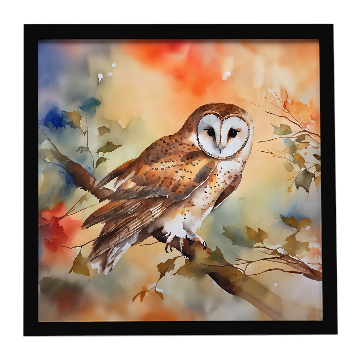DAC3182MFP88 8 x 8 in. Barn Owl Framed Metal Print