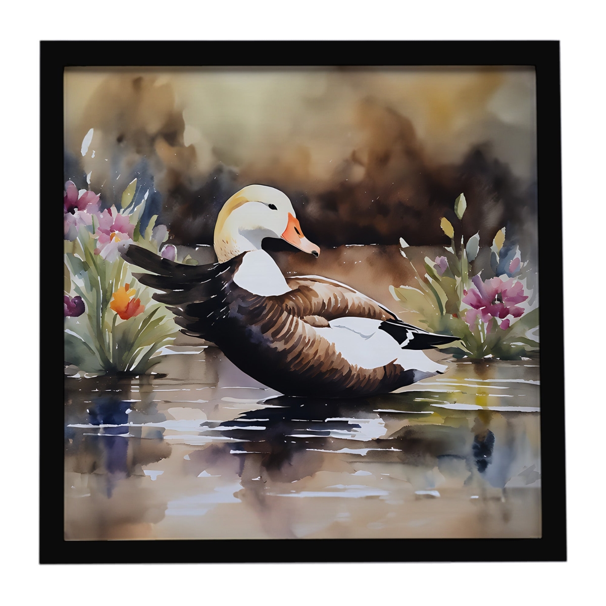 DAC3203MFP88 8 x 8 in. Common Eider Duck Framed Metal Print