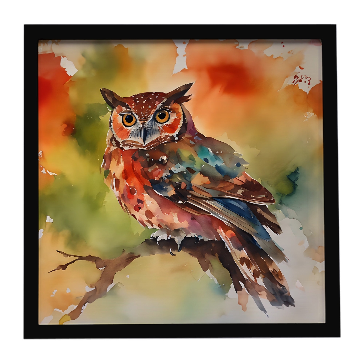 DAC3221MFP88 8 x 8 in. Elf Owl Framed Metal Print
