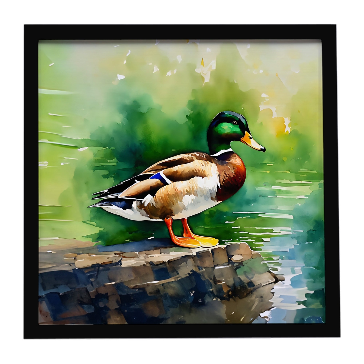 DAC3236MFP88 8 x 8 in. Mallard Framed Metal Print
