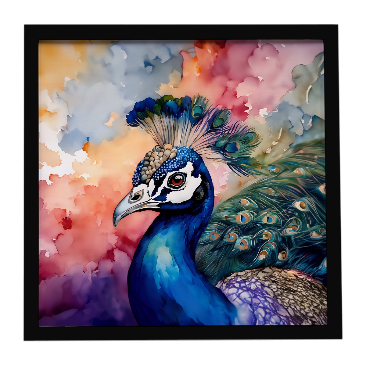 DAC3249MFP88 8 x 8 in. Peacock Framed Metal Print