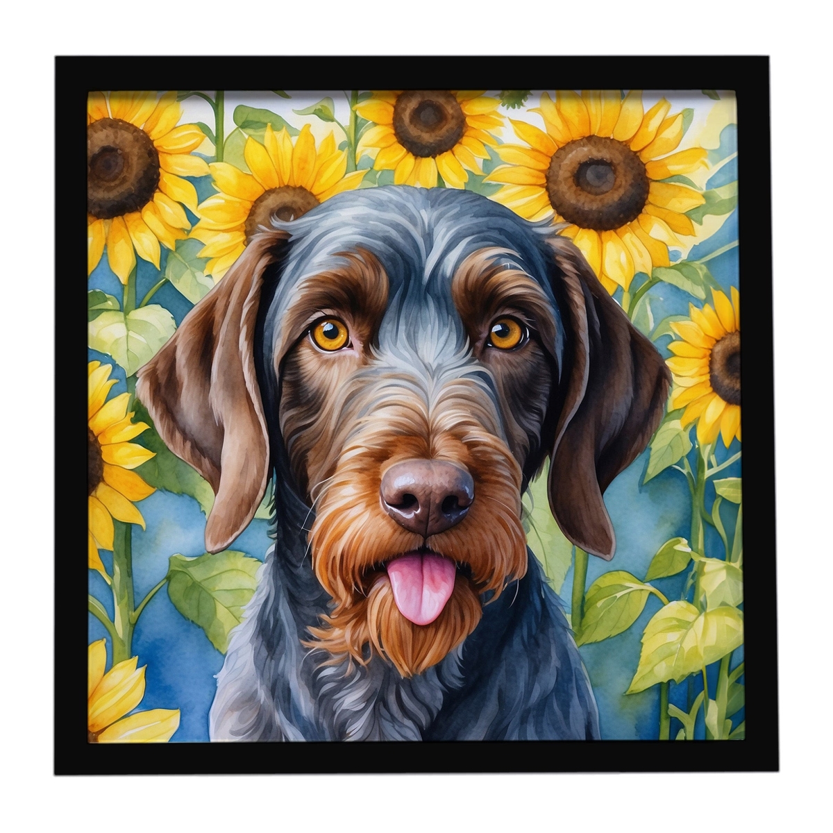 DAC6086MFP88 8 x 8 in. German Wirehaired Pointer in Sunflowers Framed Metal Print
