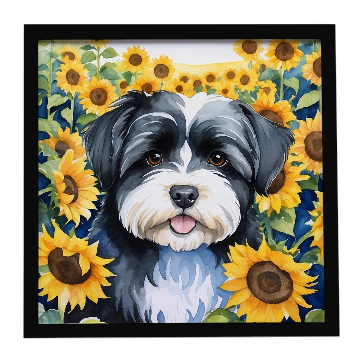 DAC6097MFP88 8 x 8 in. Havanese in Sunflowers Framed Metal Print