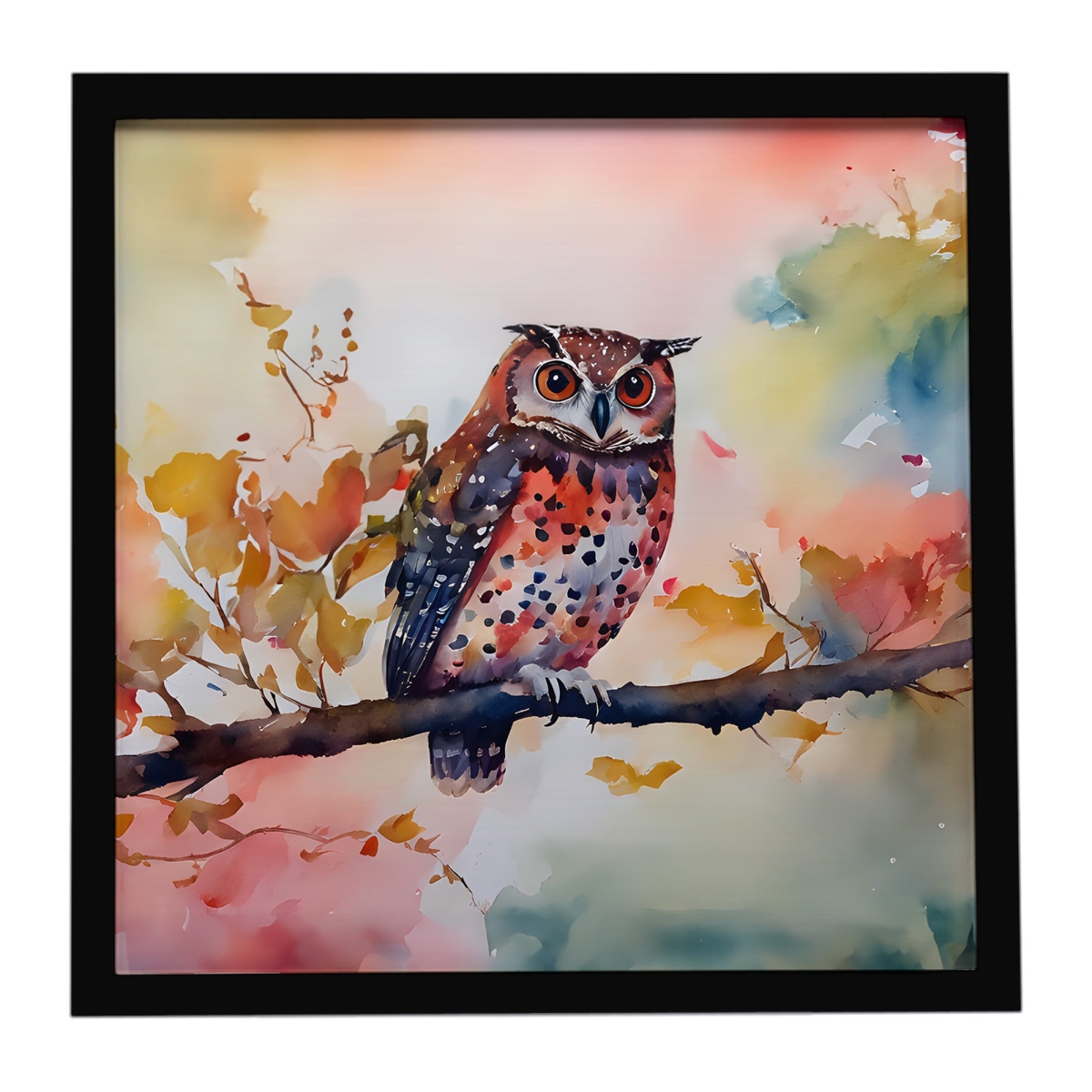 DAC3220MFP88 8 x 8 in. Elf Owl Framed Metal Print
