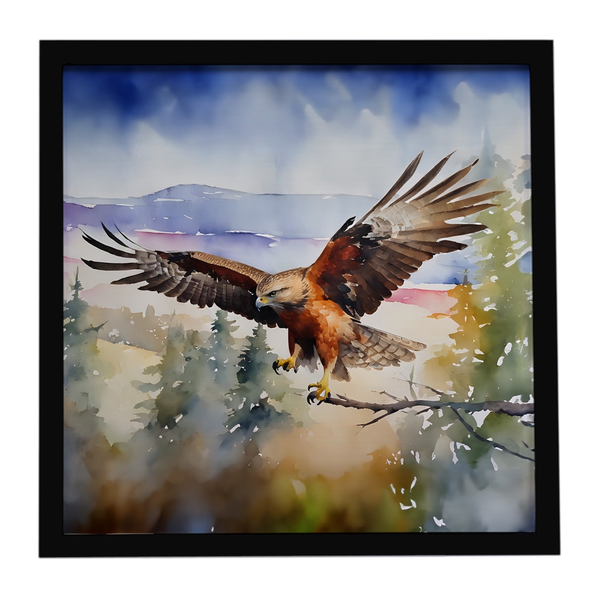 DAC3233MFP88 8 x 8 in. Hawk Framed Metal Print