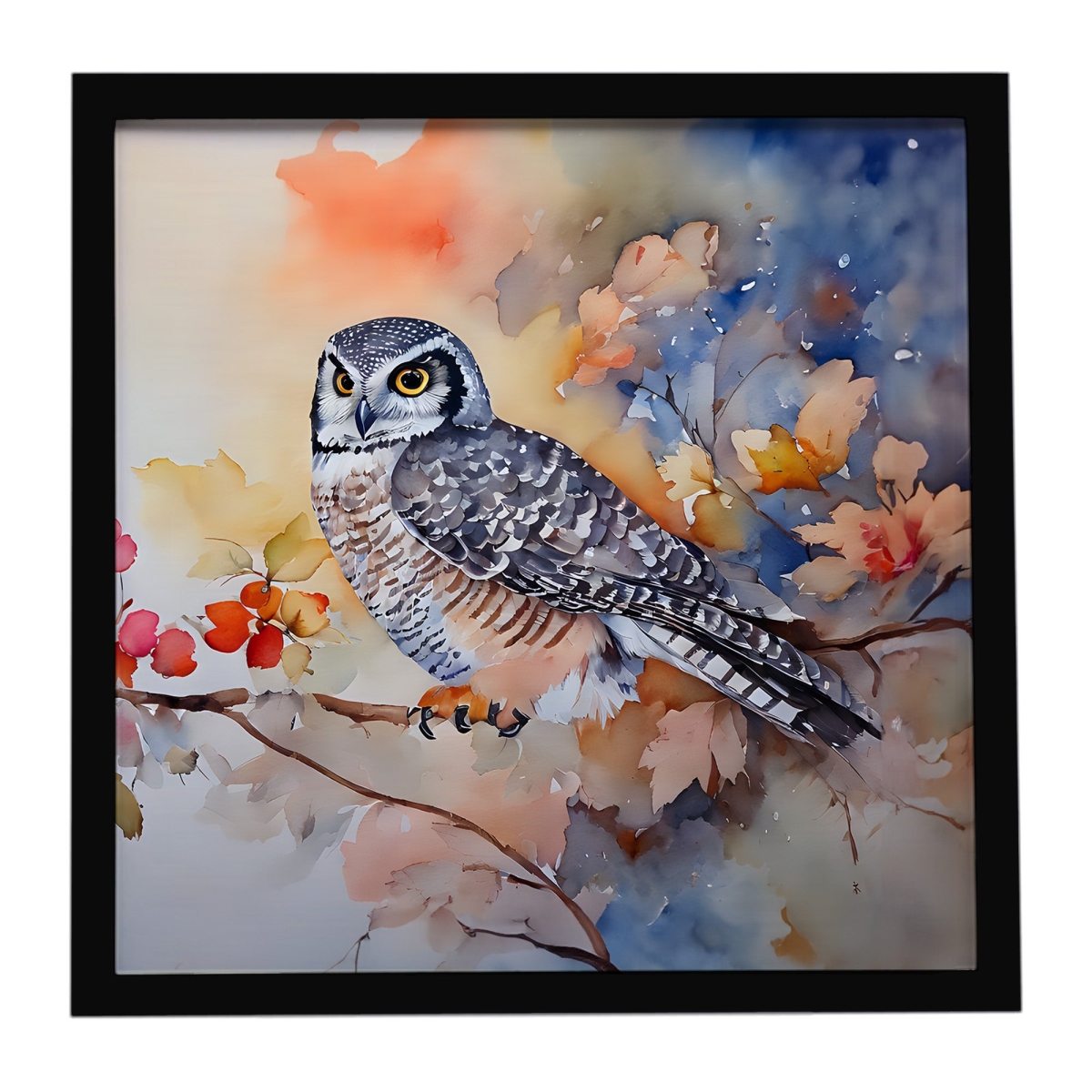 DAC3244MFP88 8 x 8 in. Northern Hawk Owl Framed Metal Print