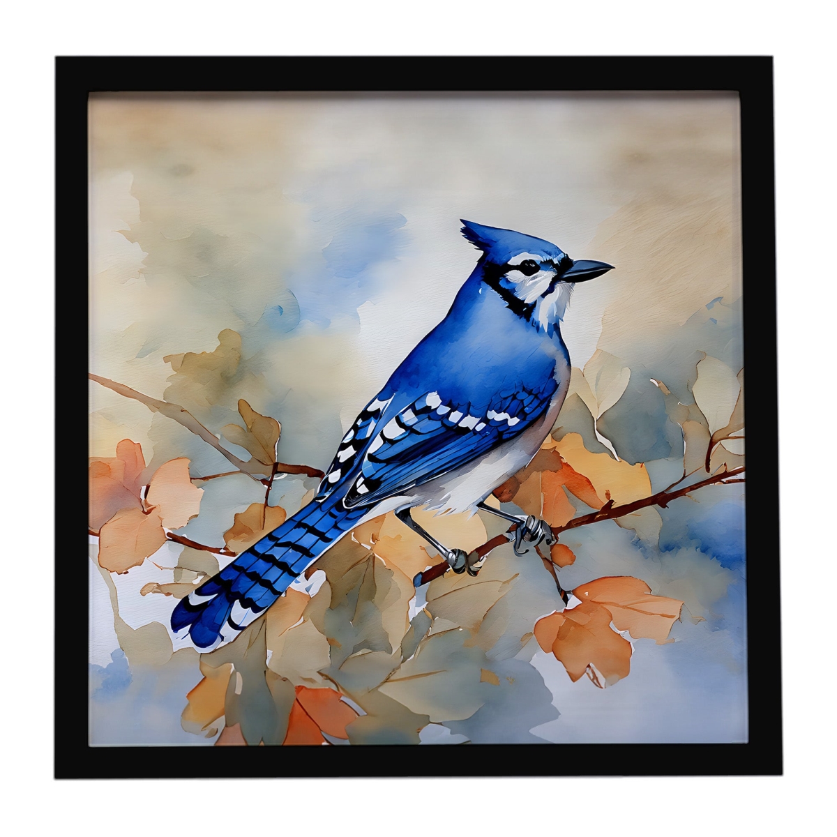 DAC3183MFP88 8 x 8 in. Blue Jay Framed Metal Print