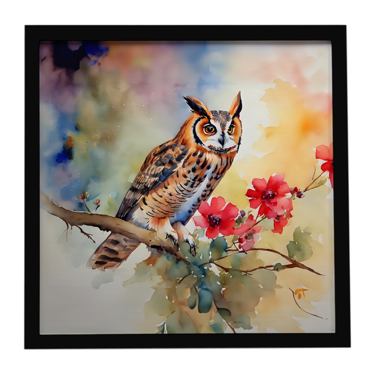 DAC3235MFP88 8 x 8 in. Long-Eared Owl Framed Metal Print
