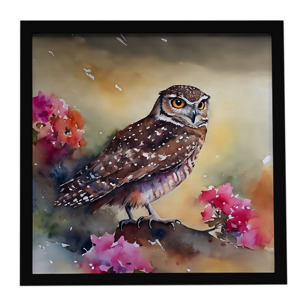 DAC3196MFP88 8 x 8 in. Burrowing Owl Framed Metal Print