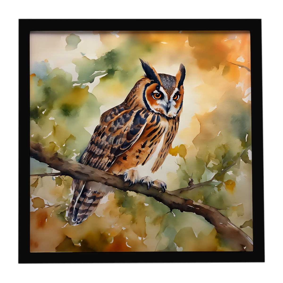 DAC3234MFP88 8 x 8 in. Long-Eared Owl Framed Metal Print