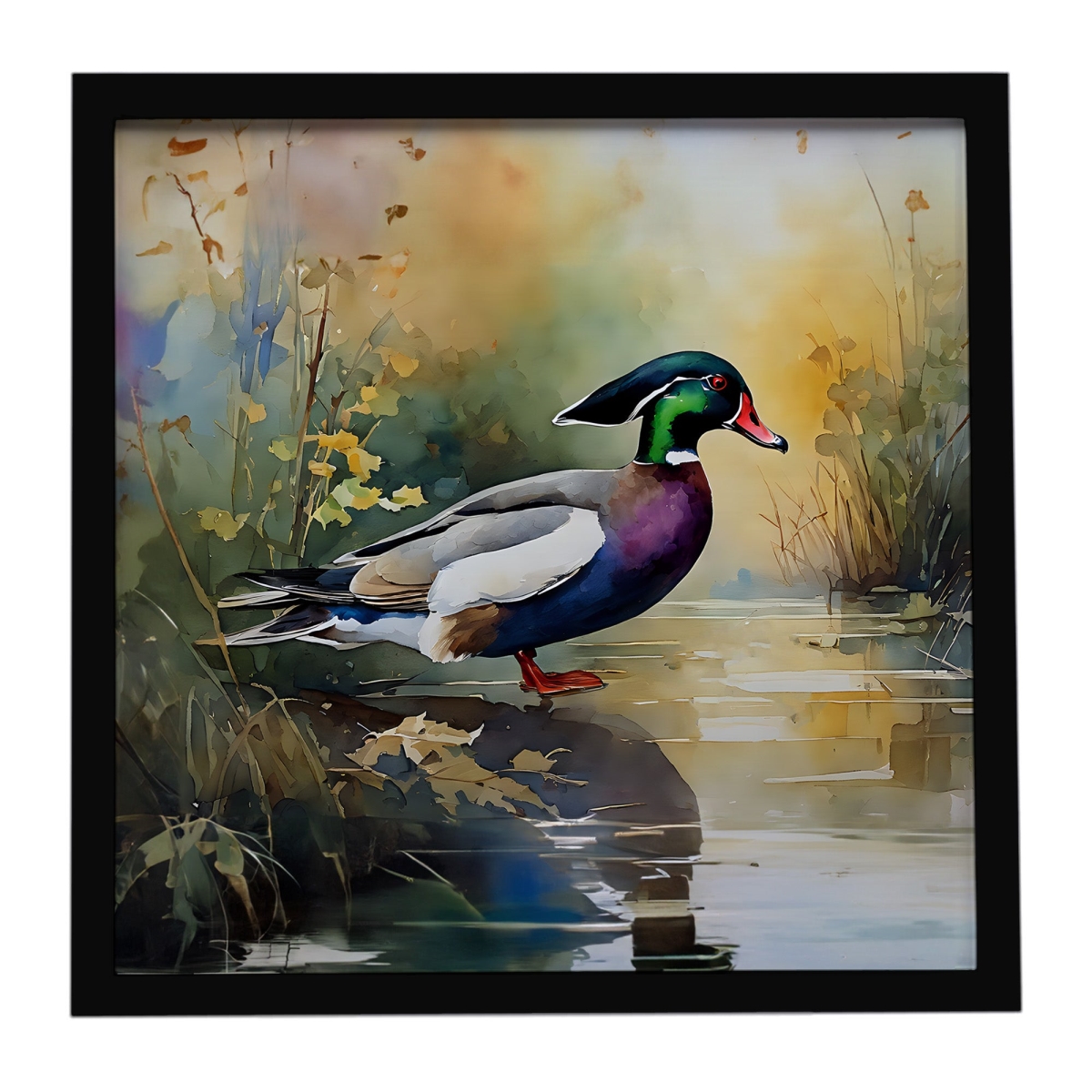 DAC3284MFP88 8 x 8 in. Wood Duck Framed Metal Print