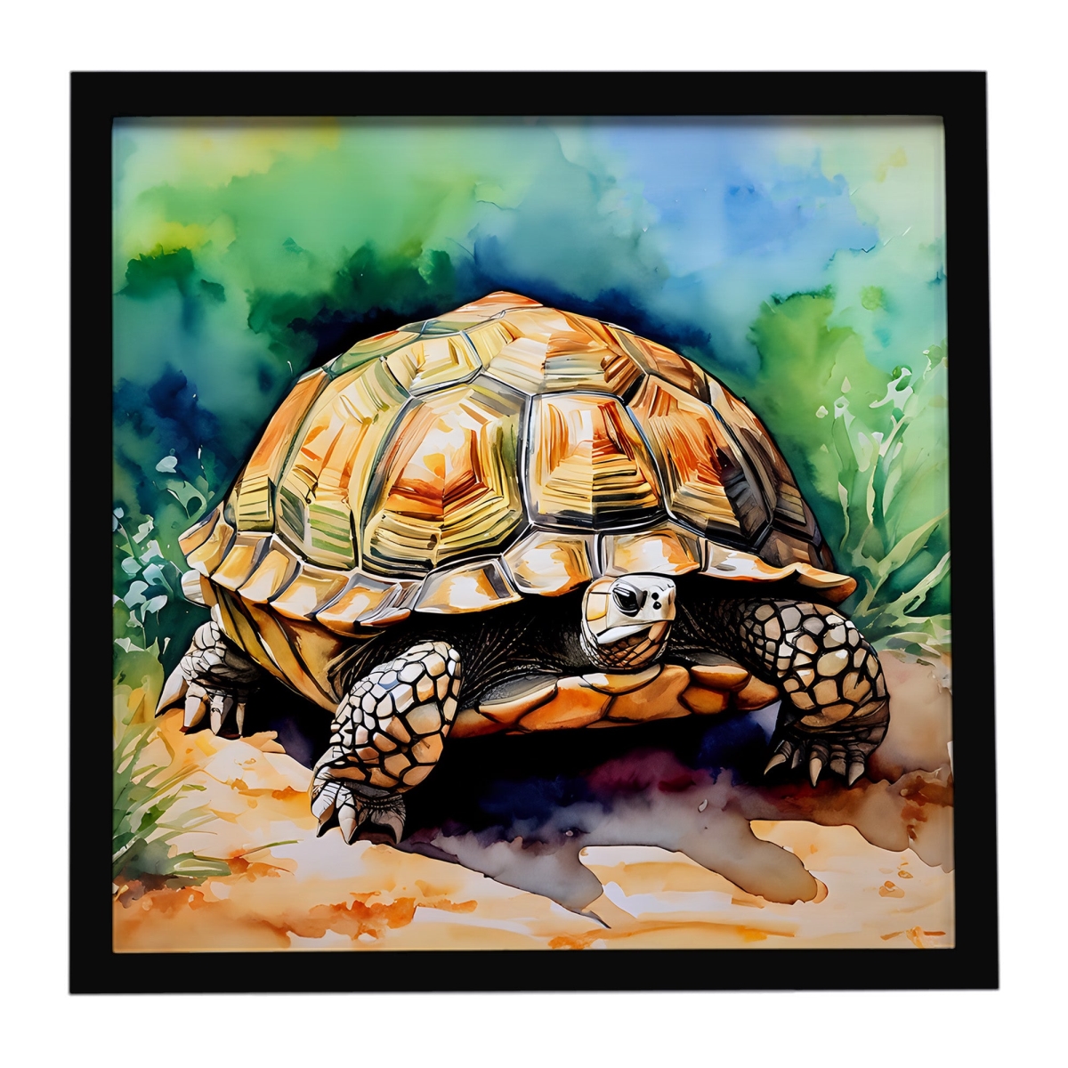 DAC2996MFP88 8 x 8 in. Turtles Tortoises Framed Metal Print