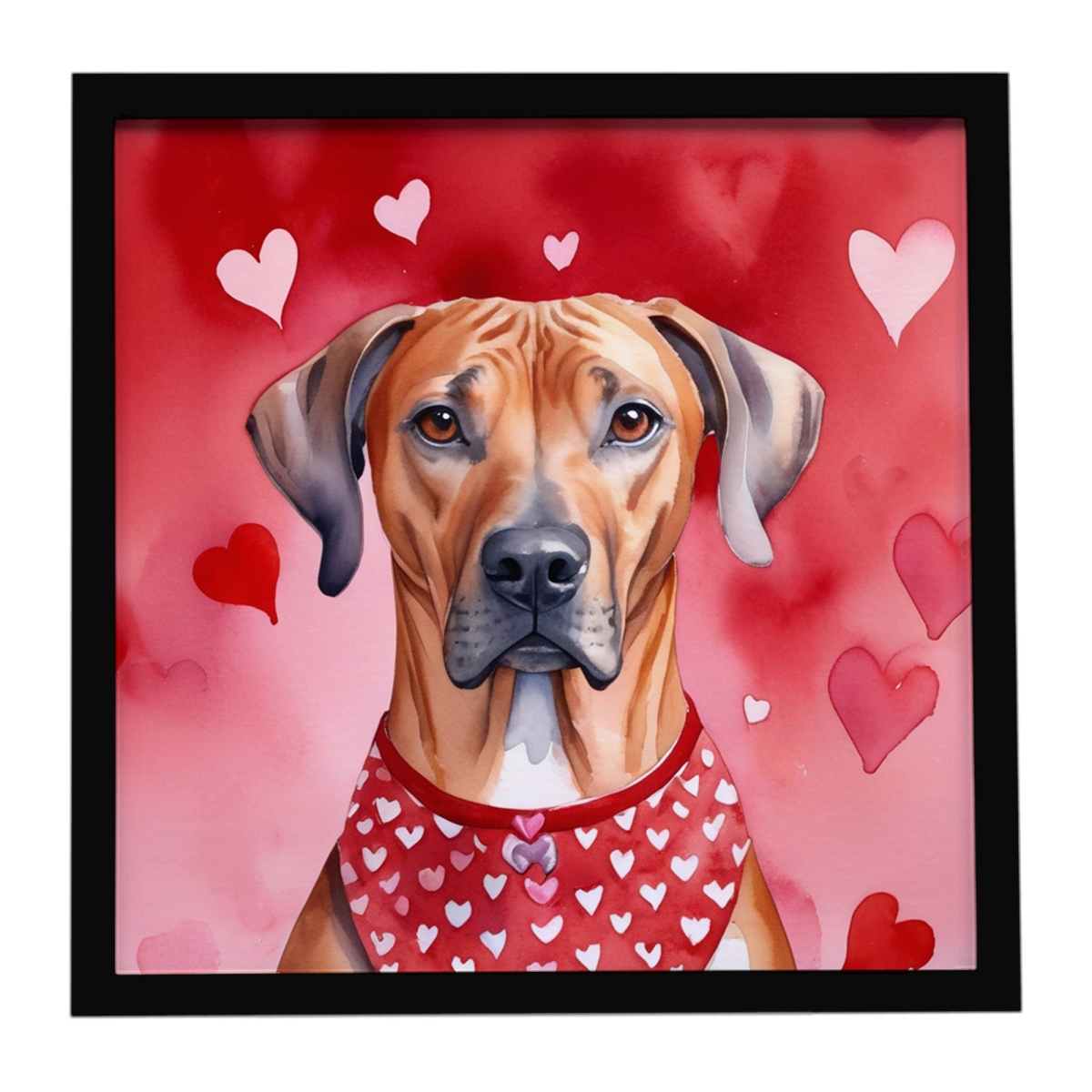 DAC5427MFP88 8 x 8 in. Rhodesian Ridgeback My Valentine Framed Metal Print