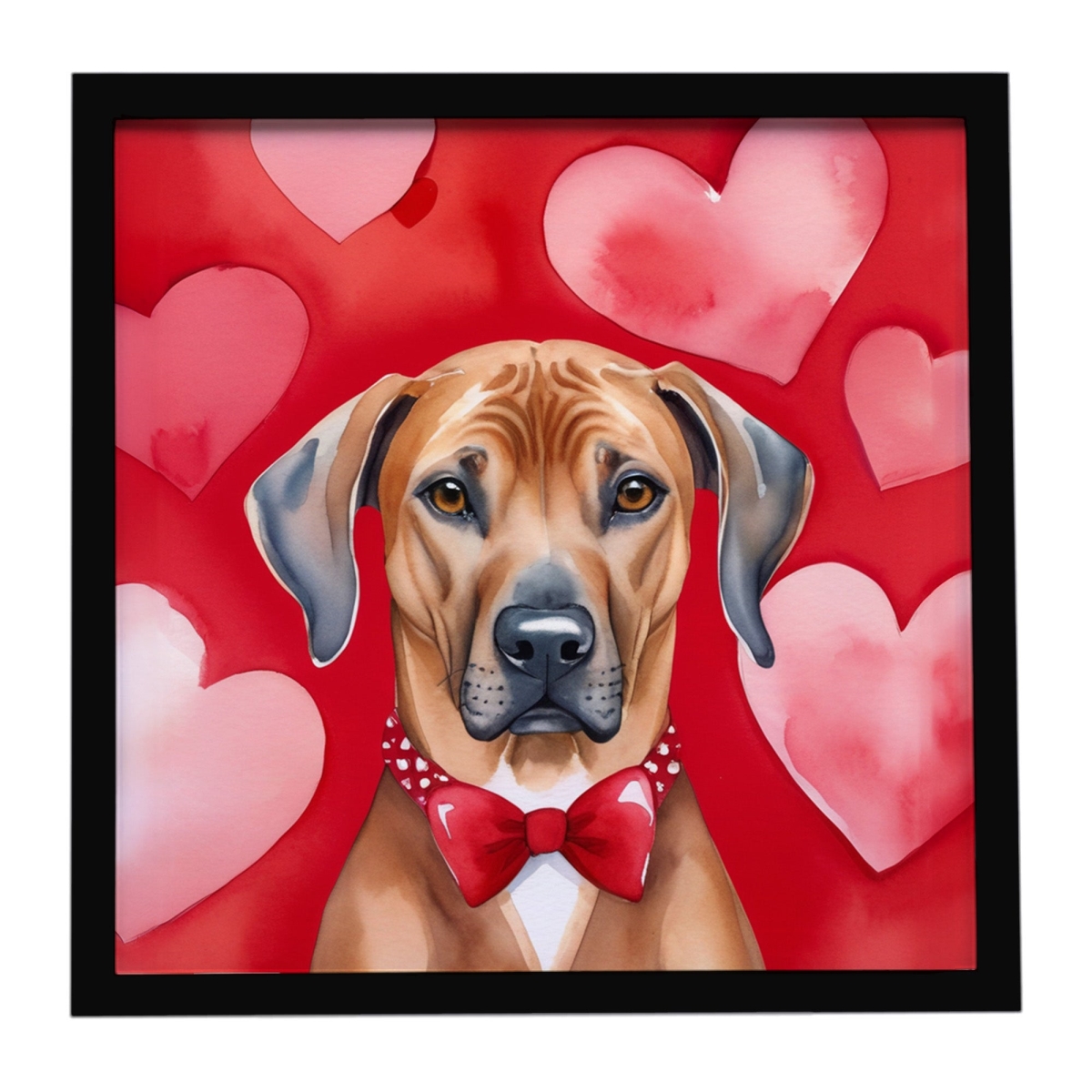 DAC5428MFP88 8 x 8 in. Rhodesian Ridgeback My Valentine Framed Metal Print