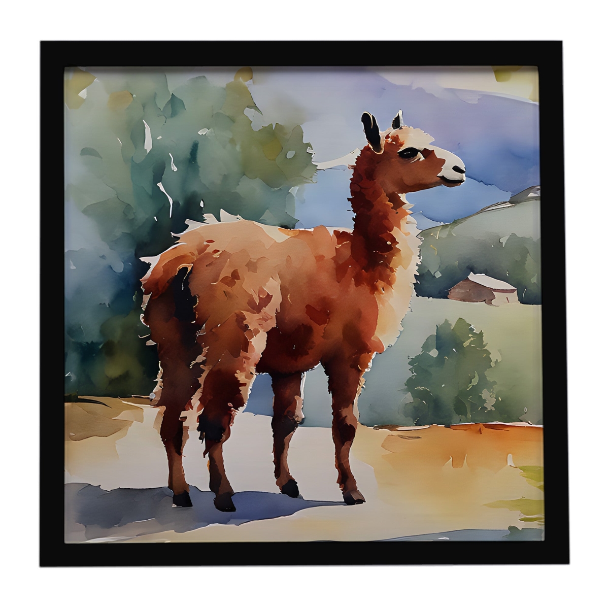 DAC2961MFP88 8 x 8 in. Llama Framed Metal Print