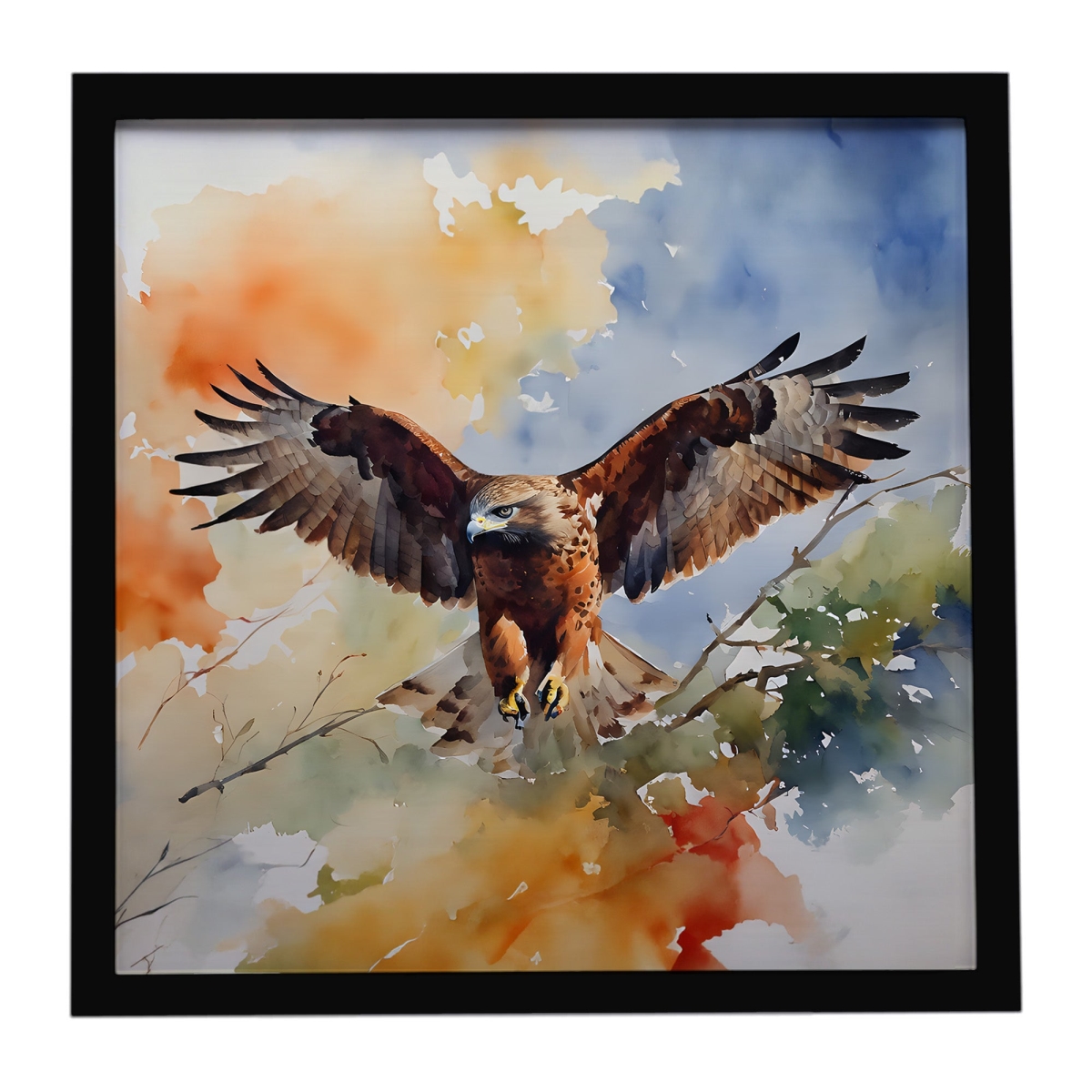 DAC3231MFP88 8 x 8 in. Hawk Framed Metal Print