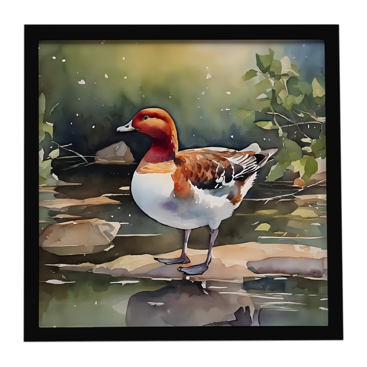 DAC3263MFP88 8 x 8 in. Redhead Duck Framed Metal Print