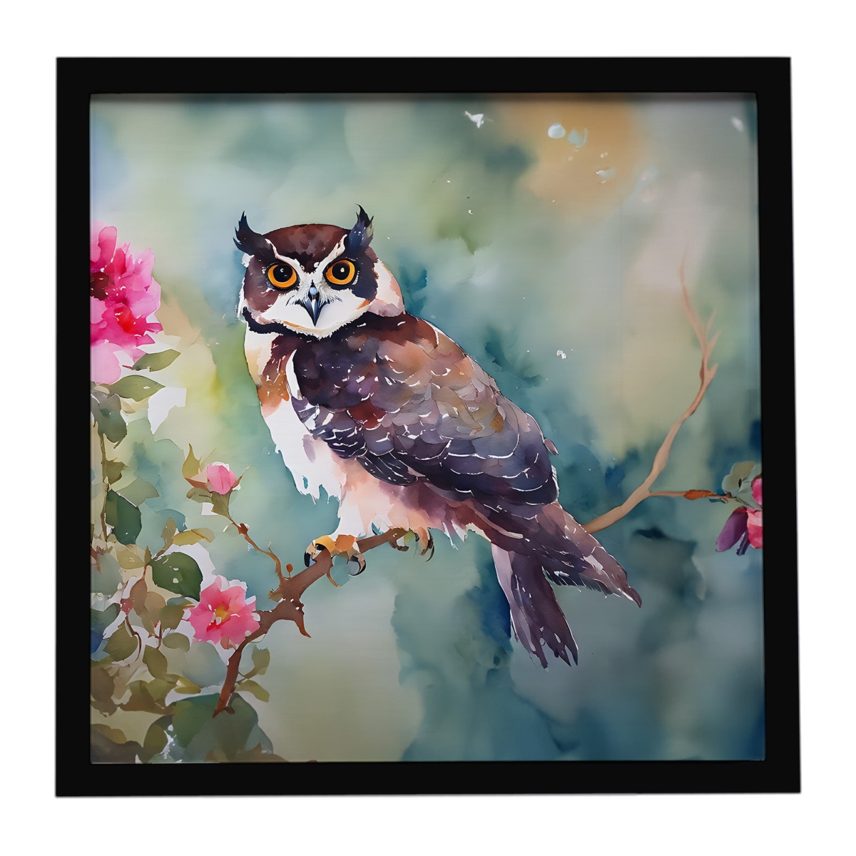 DAC3269MFP88 8 x 8 in. Spectacled Owl Framed Metal Print