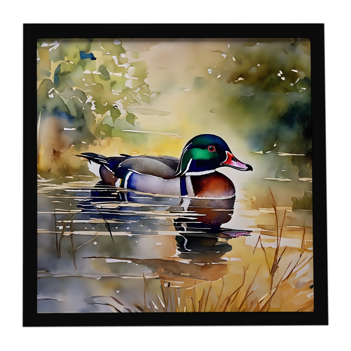 DAC3281MFP88 8 x 8 in. Wood Duck Framed Metal Print