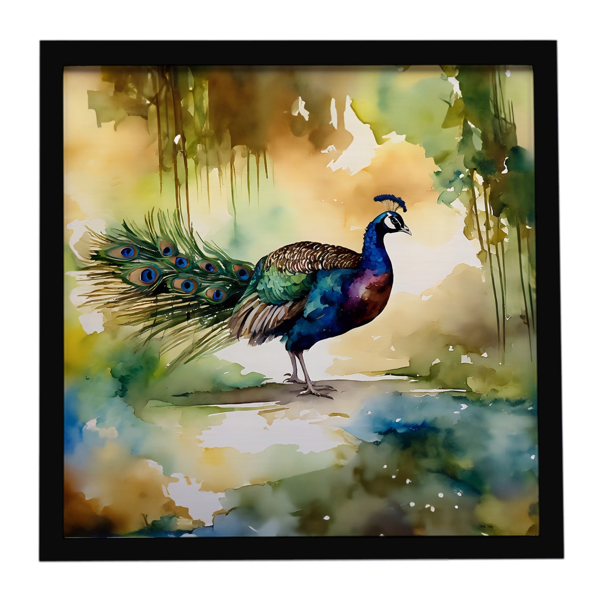 DAC3252MFP88 8 x 8 in. Peacock Framed Metal Print