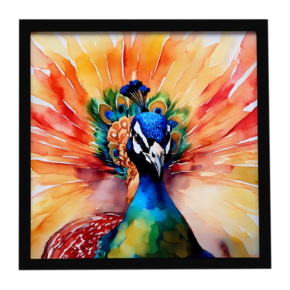 DAC3256MFP88 8 x 8 in. Peacock Framed Metal Print