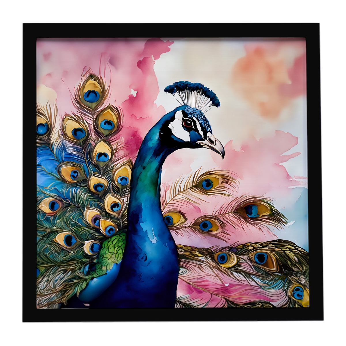 DAC3258MFP88 8 x 8 in. Peacock Framed Metal Print