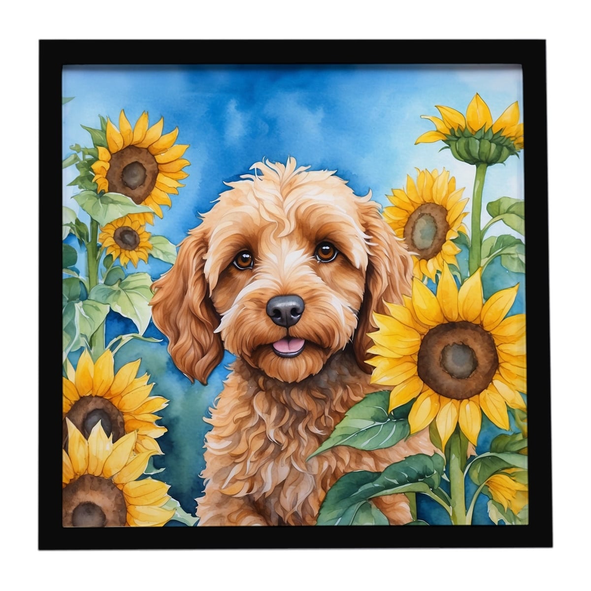 DAC6057MFP88 8 x 8 in. Cockapoo in Sunflowers Framed Metal Print