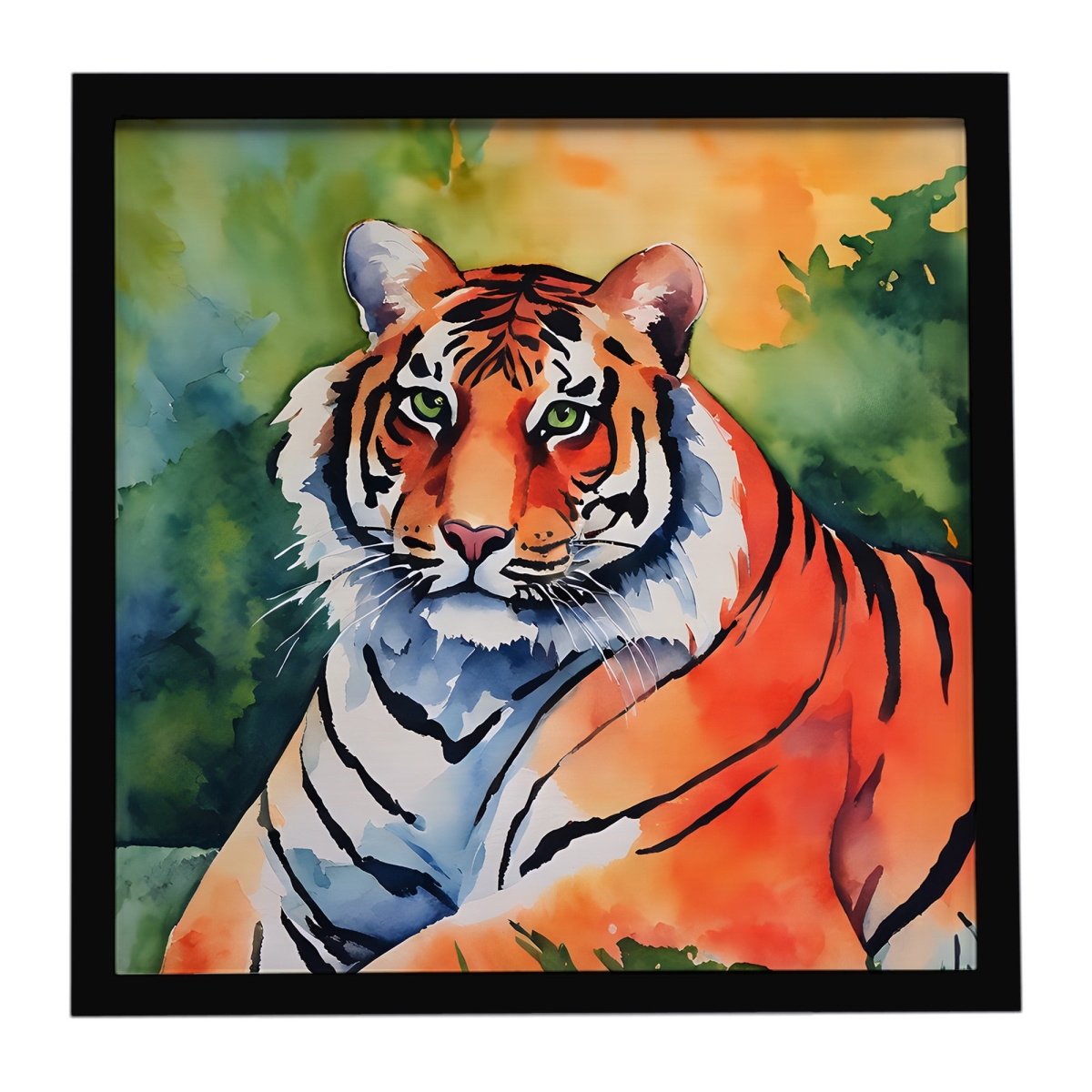 DAC2882MFP88 8 x 8 in. Bengal Tiger Framed Metal Print