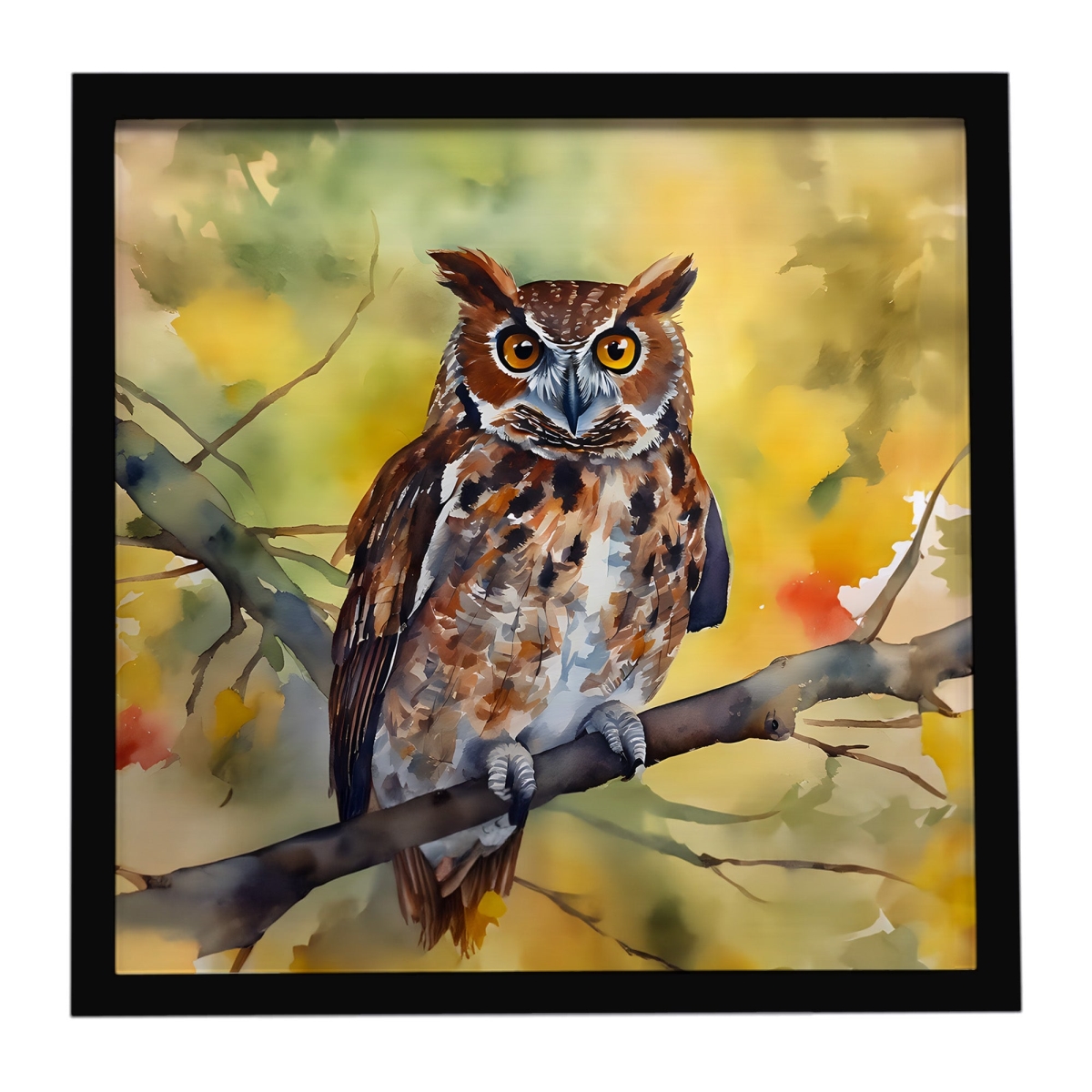 DAC3218MFP88 8 x 8 in. Eastern Screech Owl Framed Metal Print