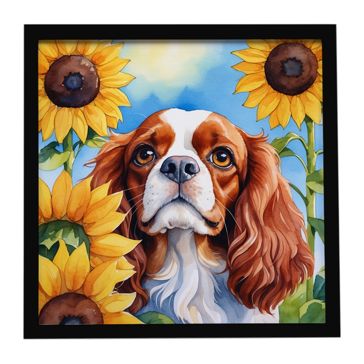 DAC6047MFP88 8 x 8 in. Cavalier Spaniel in Sunflowers Framed Metal Print