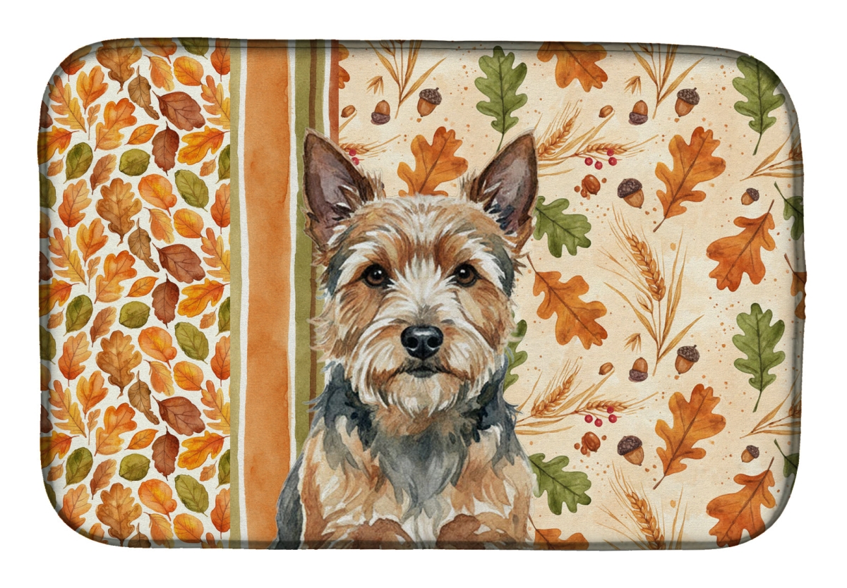 Picture of Carolines Treasures WDK7933DDM 21 x 14 in. Norwich Terrier Heirloom Fall Dish Drying Mat - Multi Color
