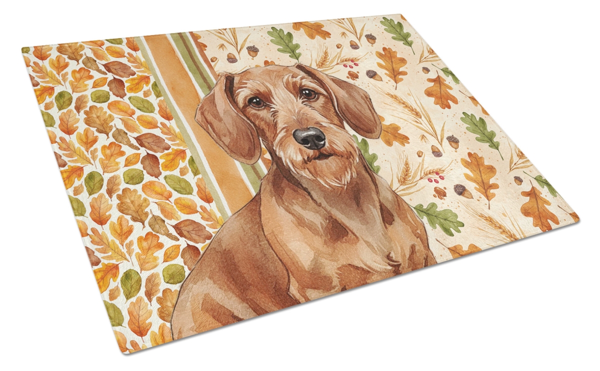 Picture of Carolines Treasures WDK7802LCB 15 x 12 in. Wirehaired Red Dachshund Heirloom Fall Glass Cutting Board