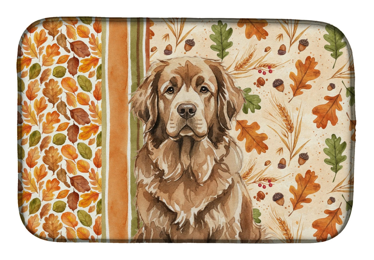 Picture of Carolines Treasures WDK7925DDM 21 x 14 in. Brown Found Land Heirloom Fall Dish Drying Mat - Multi Color