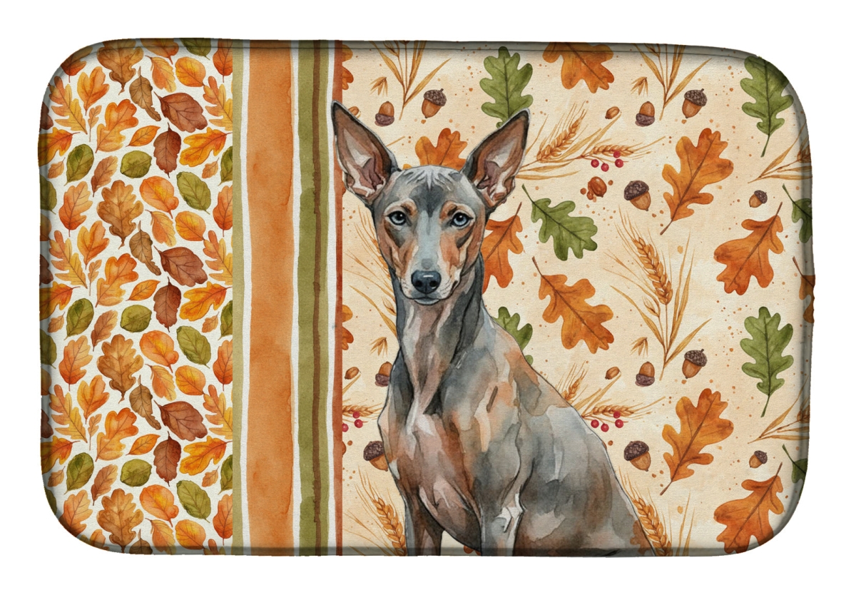 Picture of Carolines Treasures WDK8061DDM 21 x 14 in. Xoloitzcuintli Heirloom Fall Dish Drying Mat - Multi Color