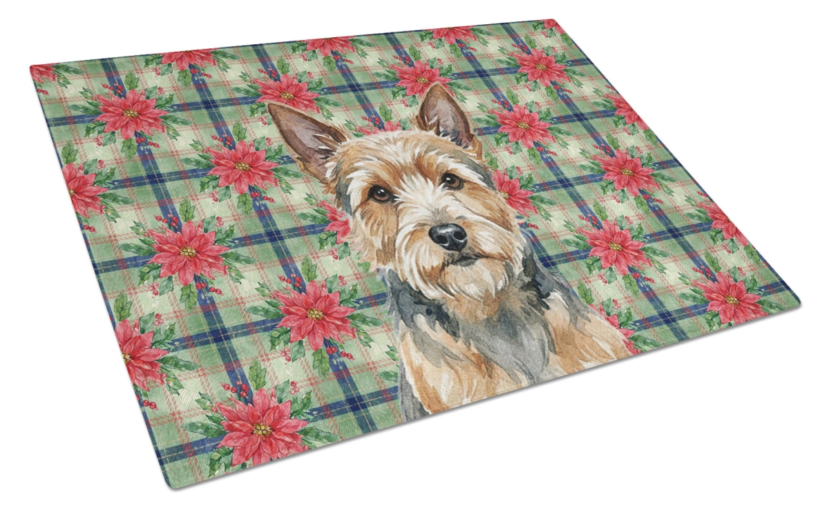Picture of Carolines Treasures WDK8733LCB Unisex Adult Norwich Terrier Christmas Poinsettias Glass Cutting Board - 15 x 12 in.