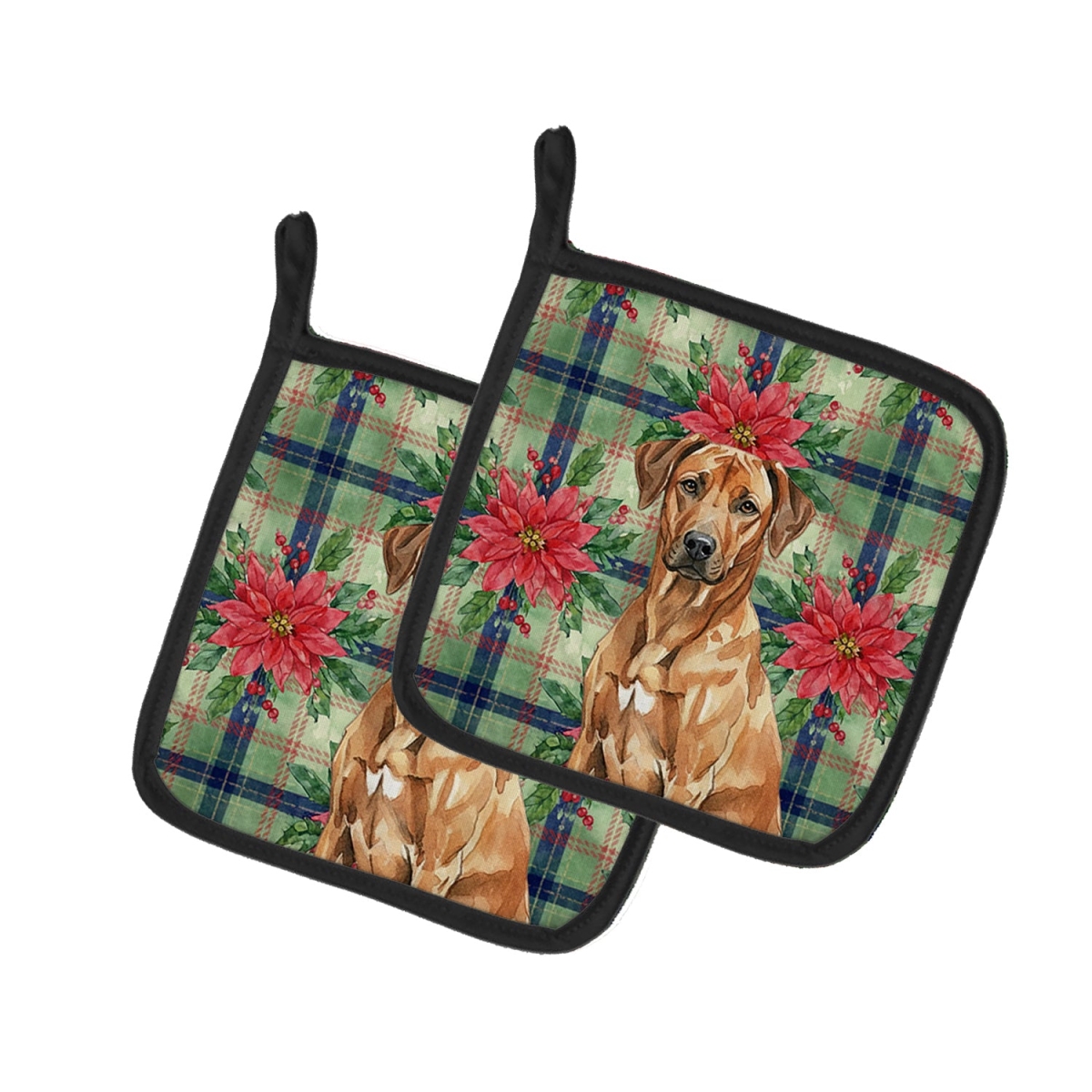 Picture of Carolines Treasures WDK8786PTHD Unisex Adult Rhodesian Ridgeback Christmas Poinsettias Pot Holders - 7.5 x 7.5 in. - Set of 2