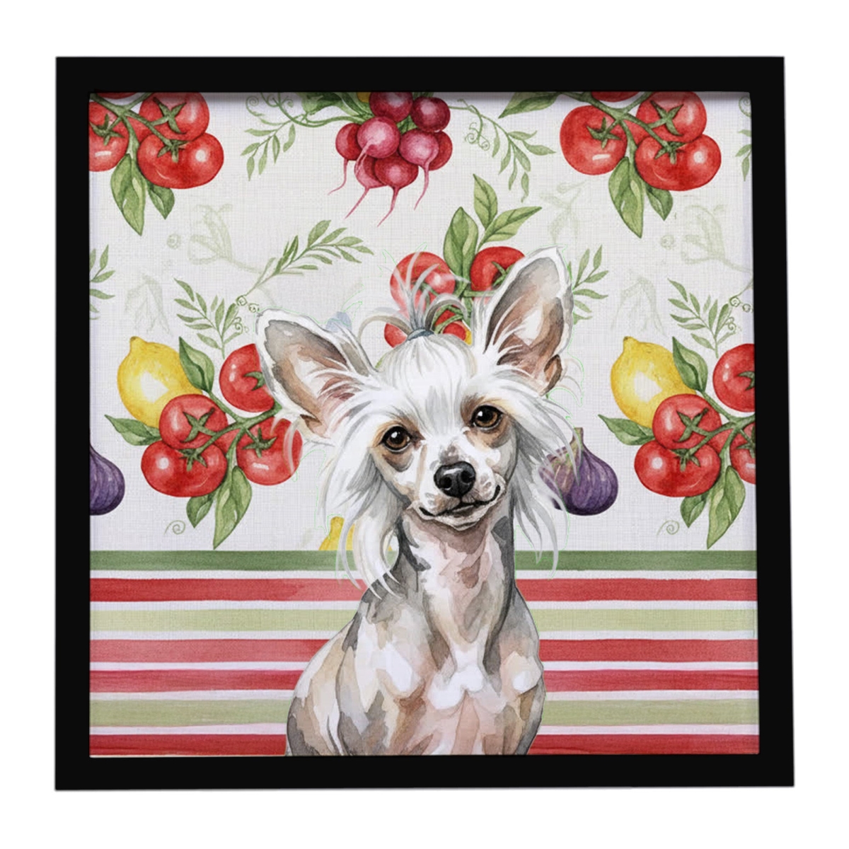 WDK8174MFP88 Unisex Hairless Mottled Pattern Chinese Crested Vegetables Framed Metal Print - 8 x 8 in.