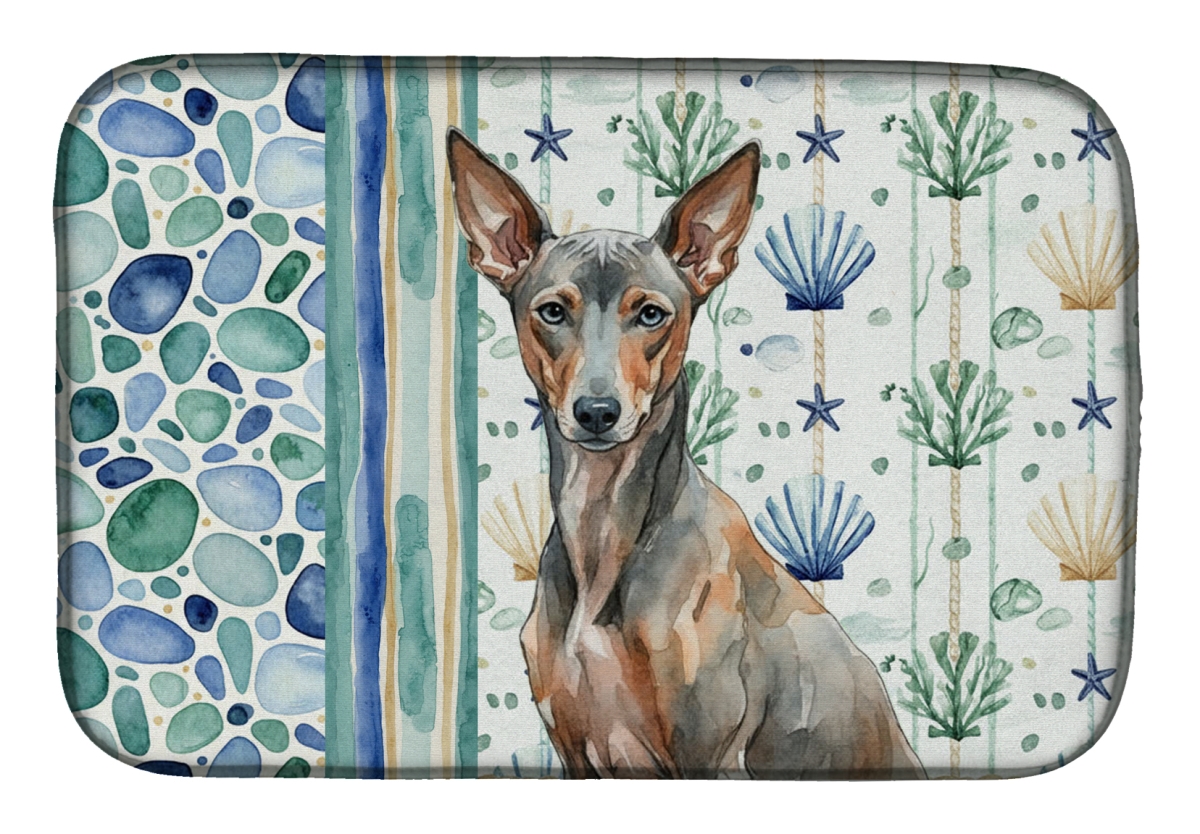 Picture of Carolines Treasures WDK7261DDM 21 x 14 in. Xoloitzcuintli Coastal Sea Glass Dish Drying Mat